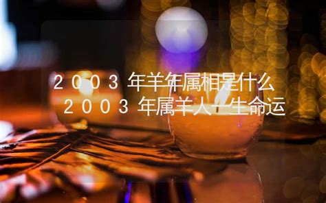 2003年生肖|2003年是什么年